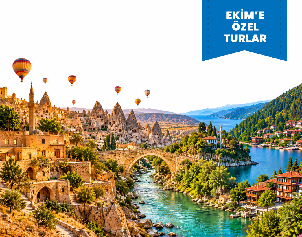 Ekim Ayı Turları