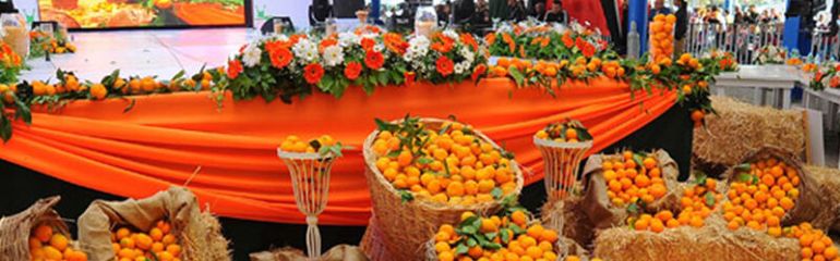 Seferihisar Mandalina Festivali Turu ( 1 Gece Konaklamalı)