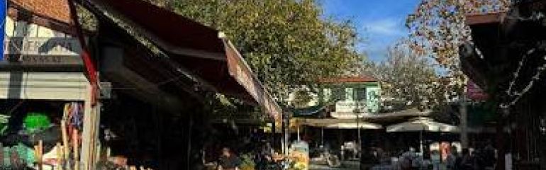 Urla Enginar Festivali Turu