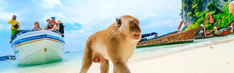 PHUKET & BANGKOK TURU Türk Hava Yolları ile 6 gece
