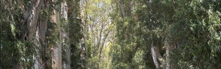 Datça / Marmaris / Akyaka Turu