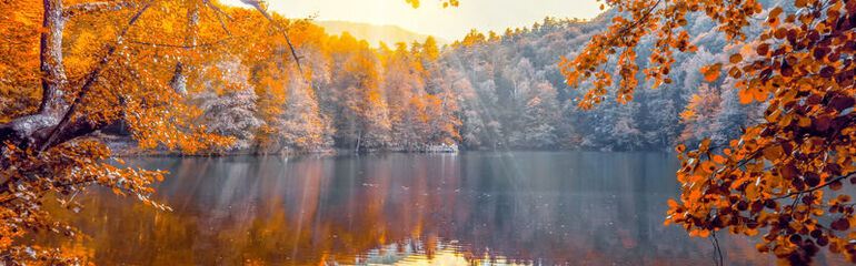 Günübirlik Yedigöller & Gölcük Turu